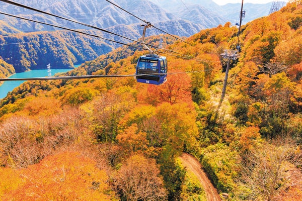 秋の絶景紅葉巡り 苗場ドラゴンドラと草津温泉2泊3日1